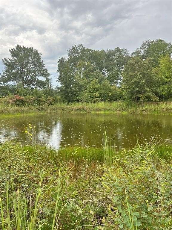 6.77 Acres of Residential Land for Sale in Telephone, Texas