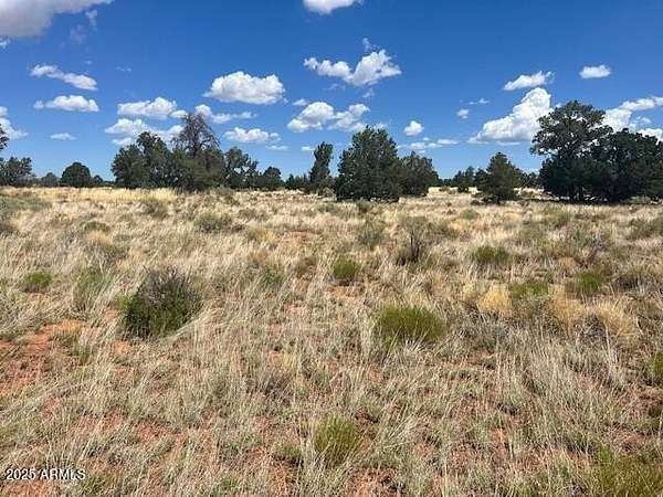 0.26 Acres of Land for Sale in Williams, Arizona