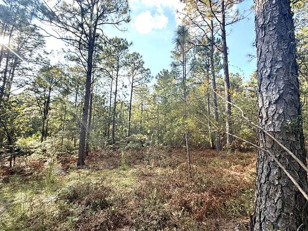 2.34 Acres of Residential Land for Sale in Aiken, South Carolina