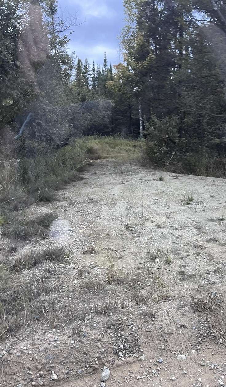 80 Acres of Recreational Land for Sale in McMillan, Michigan