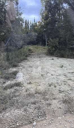 80 Acres of Recreational Land for Sale in McMillan, Michigan