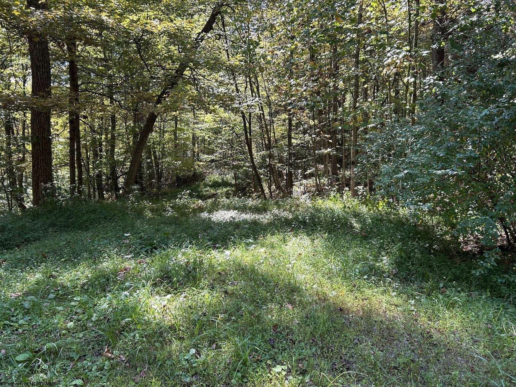 43.4 Acres of Recreational Land for Sale in Terra Alta, West Virginia