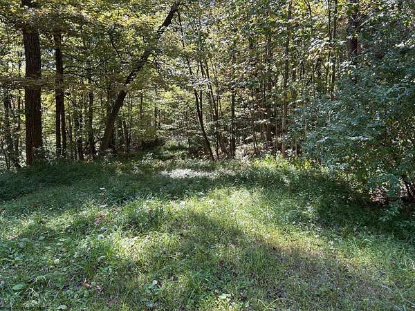 43.4 Acres of Recreational Land for Sale in Terra Alta, West Virginia