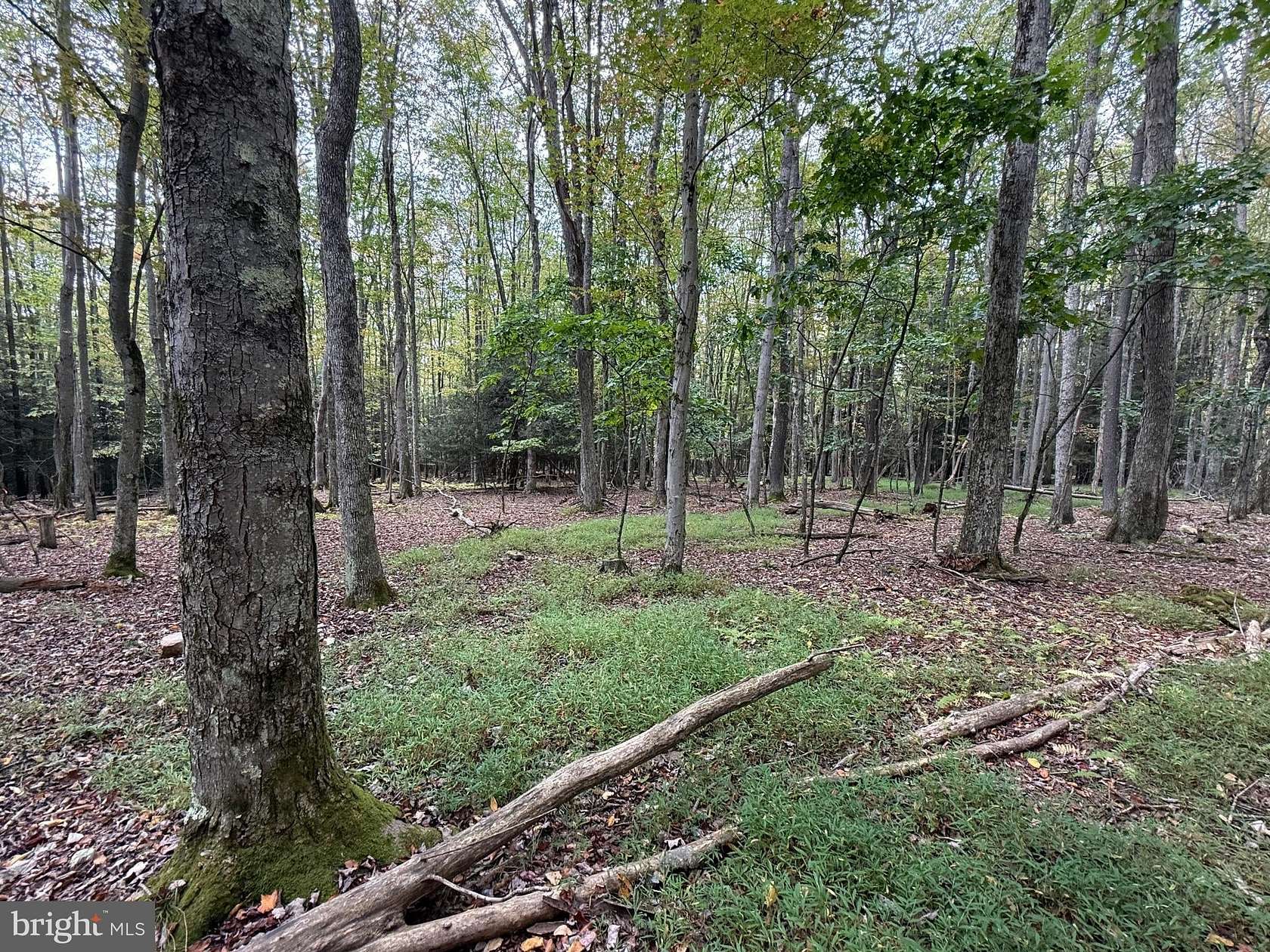 3.32 Acres of Residential Land for Sale in Oakland, Maryland