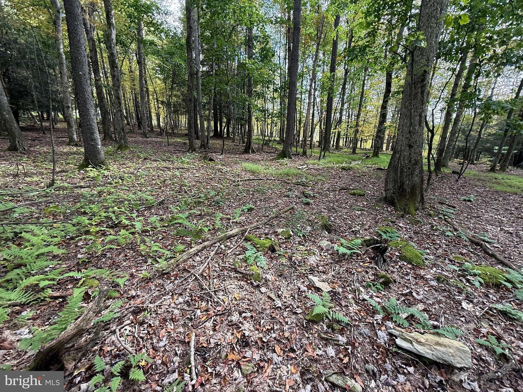 3.32 Acres of Residential Land for Sale in Oakland, Maryland
