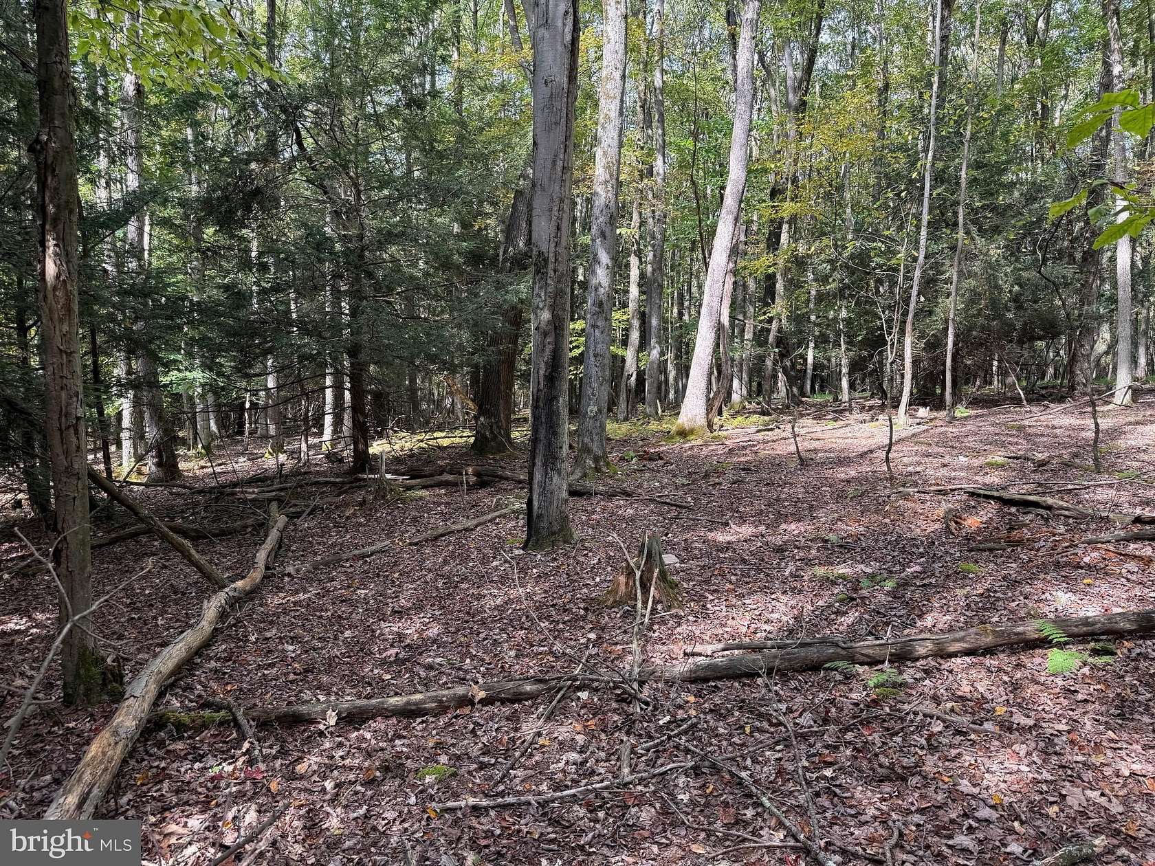 3.32 Acres of Residential Land for Sale in Oakland, Maryland