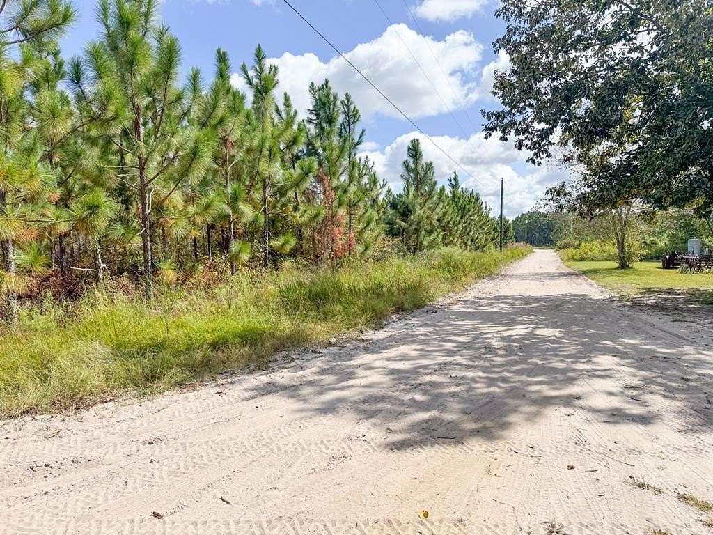 48.8 Acres of Land for Sale in Baxley, Georgia