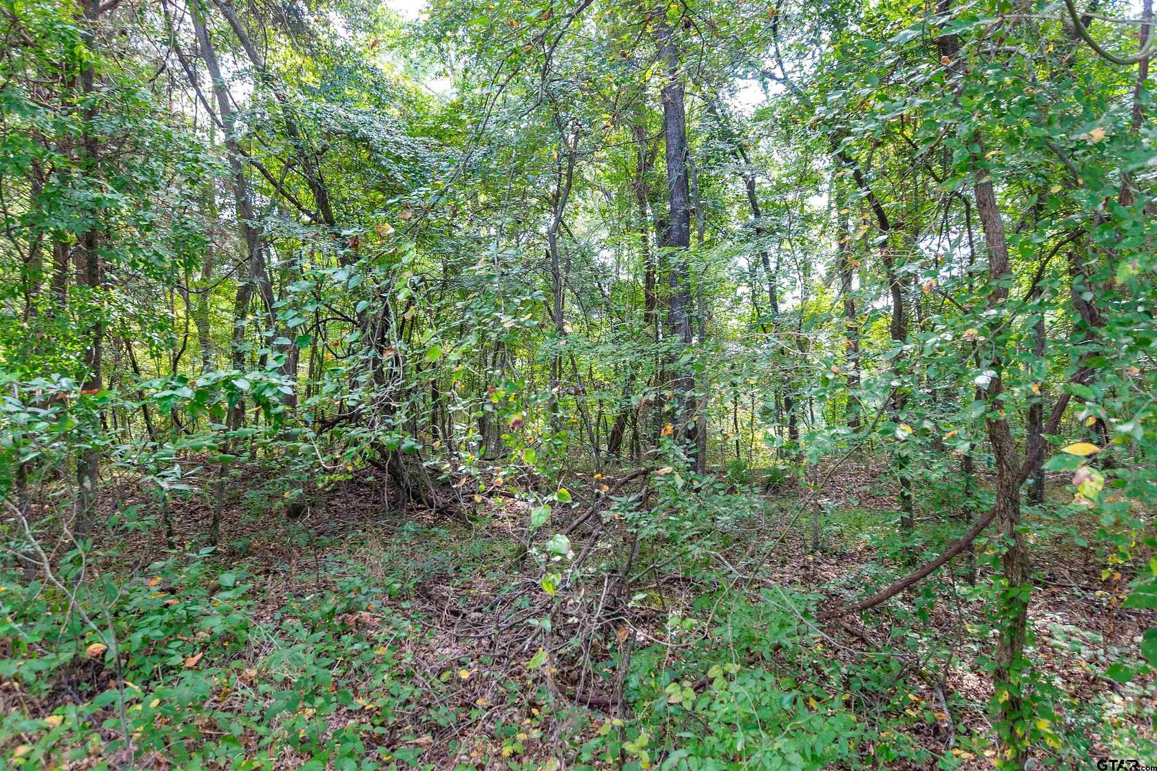 15.8 Acres of Land for Sale in Flint, Texas