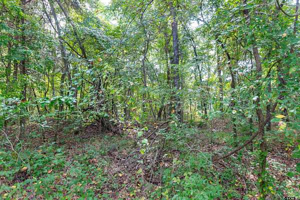 15.8 Acres of Land for Sale in Flint, Texas