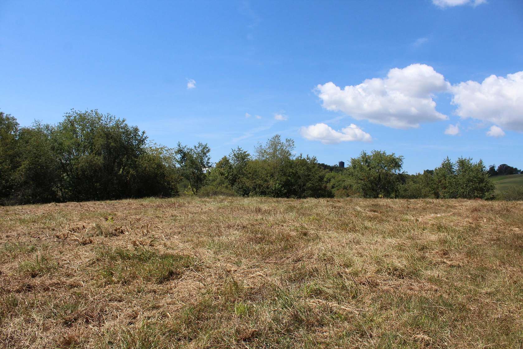 Residential Land for Sale in Union, West Virginia