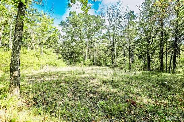 3 Acres of Mixed-Use Land for Sale in Byrnes Mill, Missouri