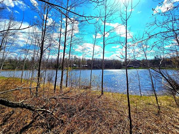 Residential Land for Sale in Elmira, Michigan