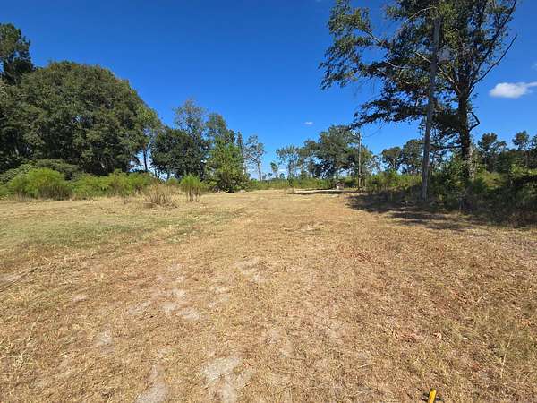 1.65 Acres of Land for Sale in Alcolu, South Carolina