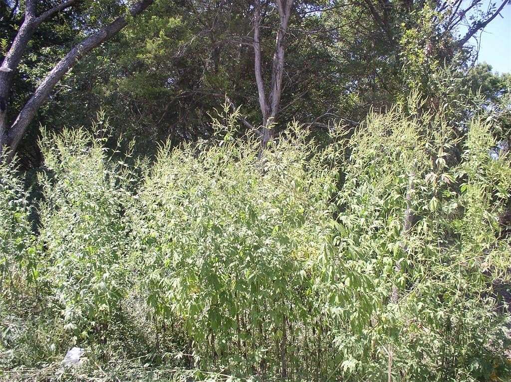 0.35 Acres of Land for Sale in Dallas, Texas