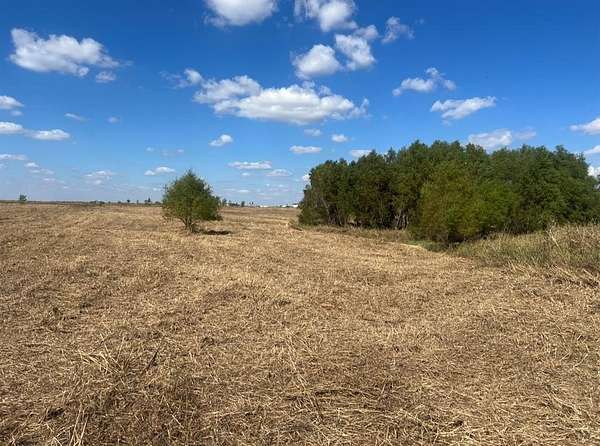 21.8 Acres of Agricultural Land for Sale in Grandview, Texas