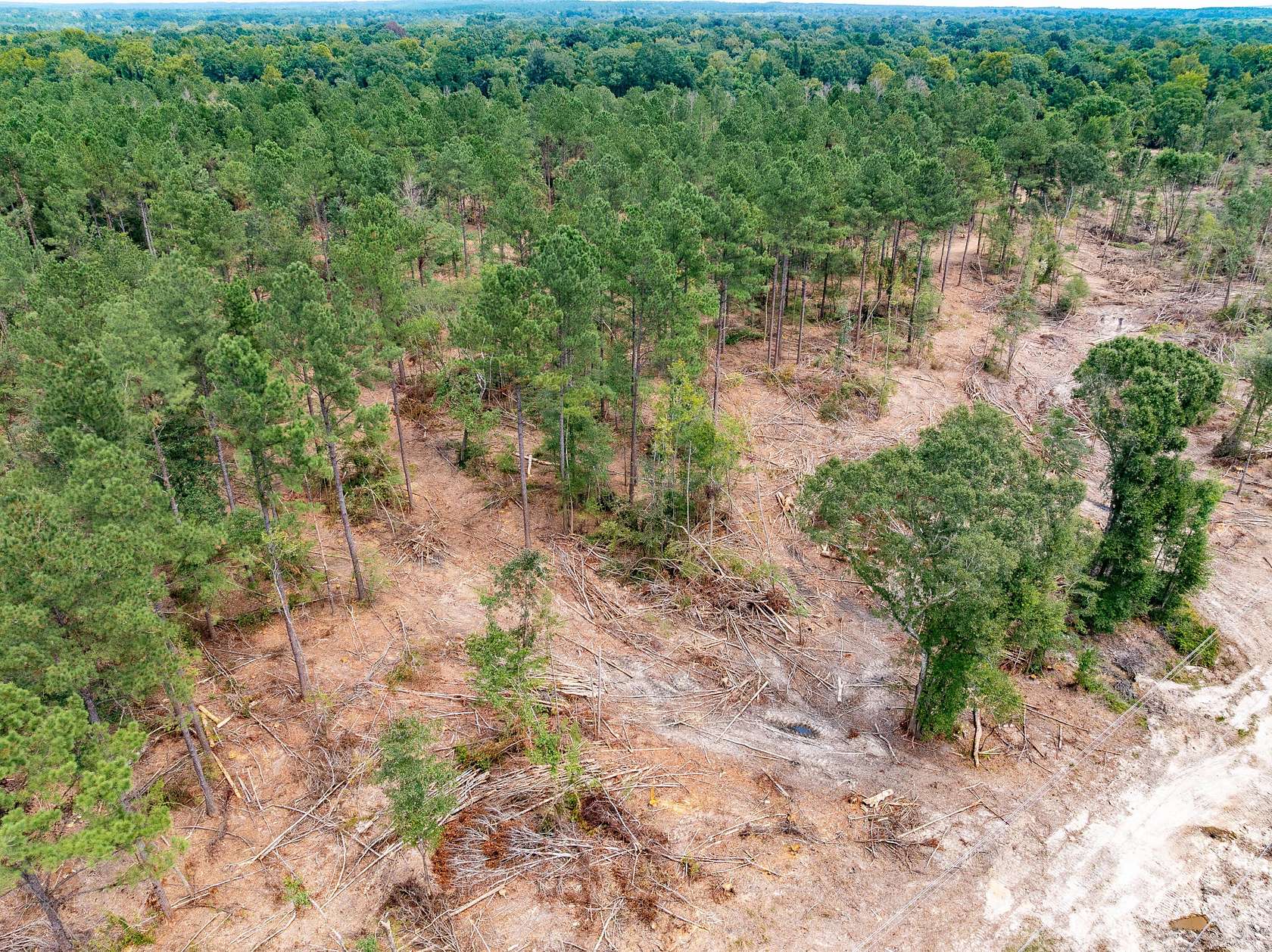 1 Acre of Residential Land for Sale in McLain, Mississippi