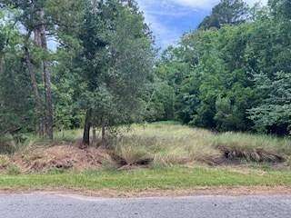 0.48 Acres of Land for Sale in Midway, Georgia
