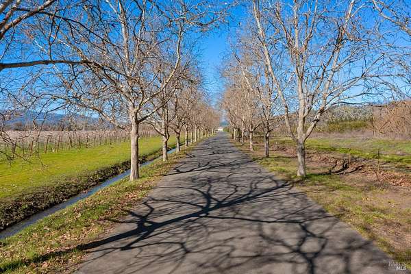 20.9 Acres of Agricultural Land for Sale in St. Helena, California