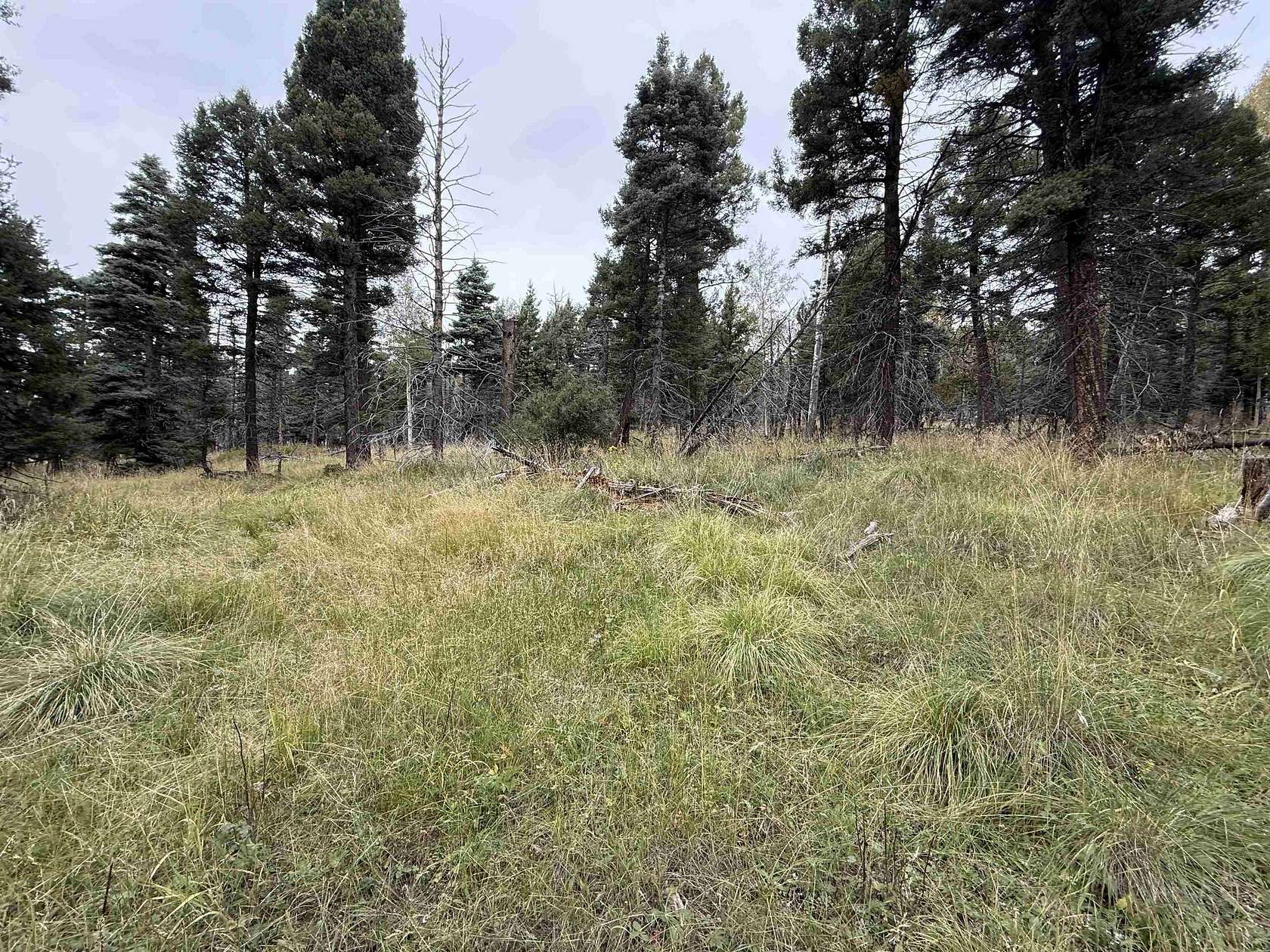 0.91 Acres of Residential Land for Sale in Angel Fire, New Mexico