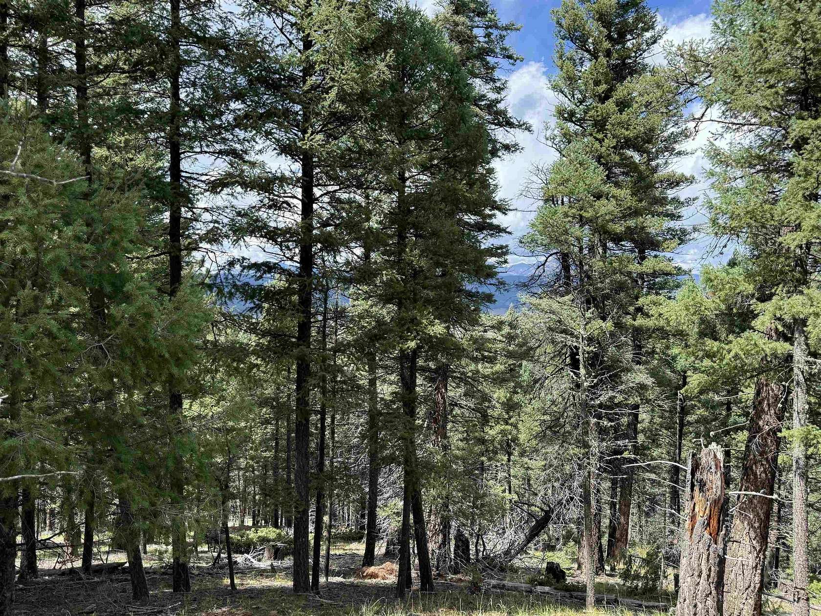 0.88 Acres of Land for Sale in Angel Fire, New Mexico