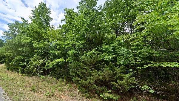 0.27 Acres of Residential Land for Sale in Horseshoe Bend, Arkansas
