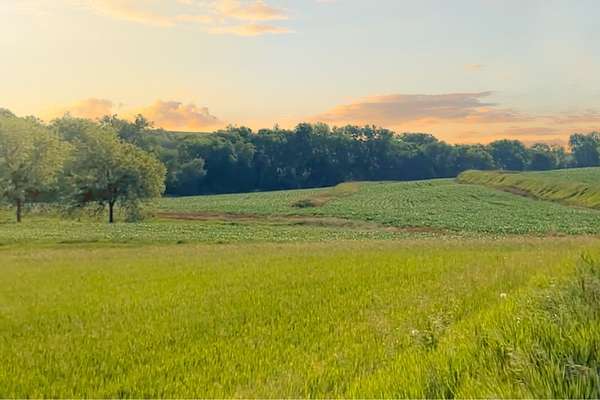 2.48 Acres of Residential Land for Sale in Silver City, Iowa