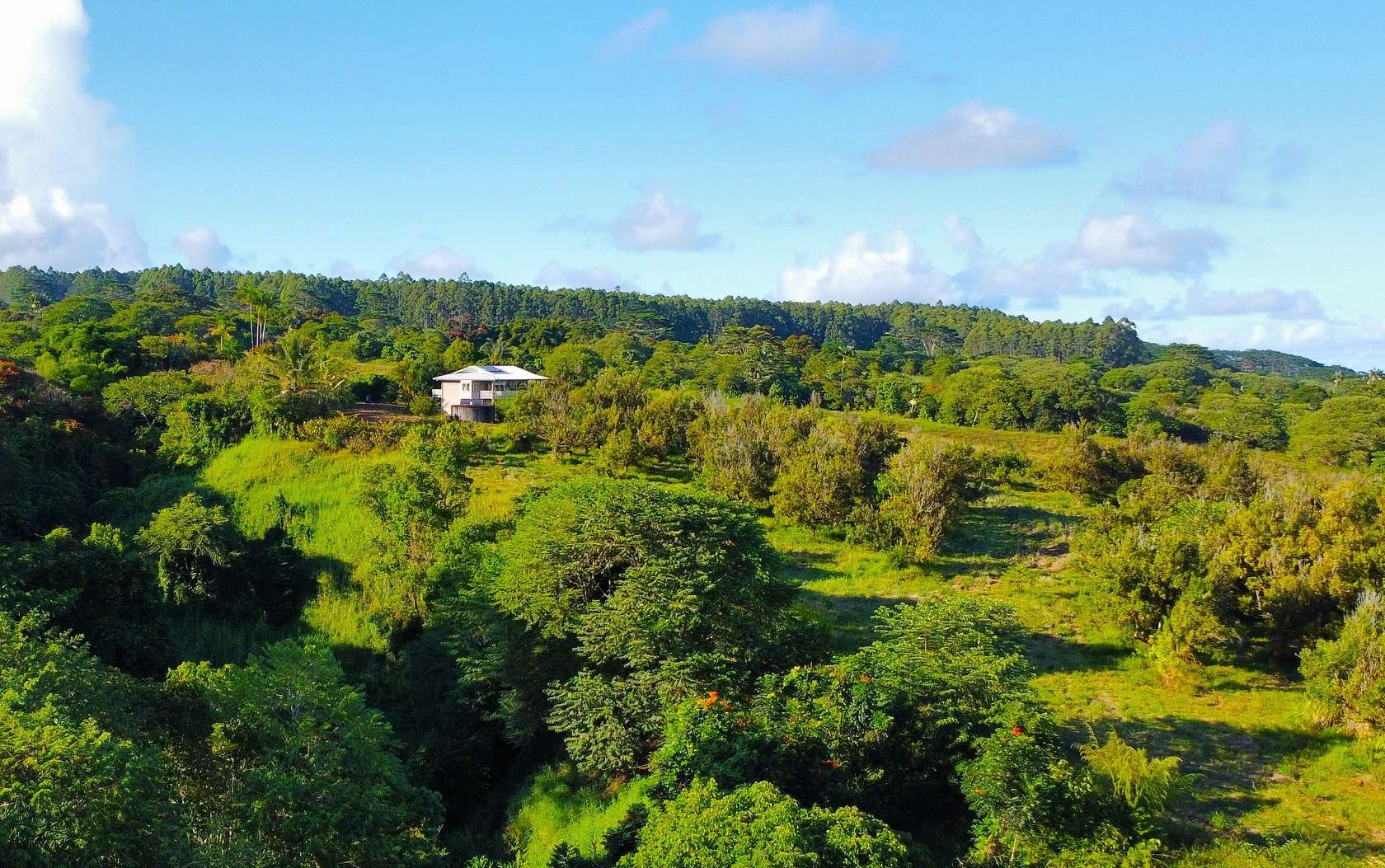 23.5 Acres of Land for Sale in Hilo, Hawaii