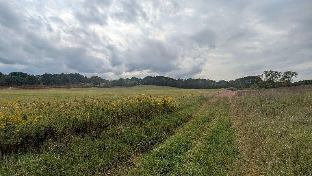 40 Acres of Recreational Land for Sale in Paris, Michigan
