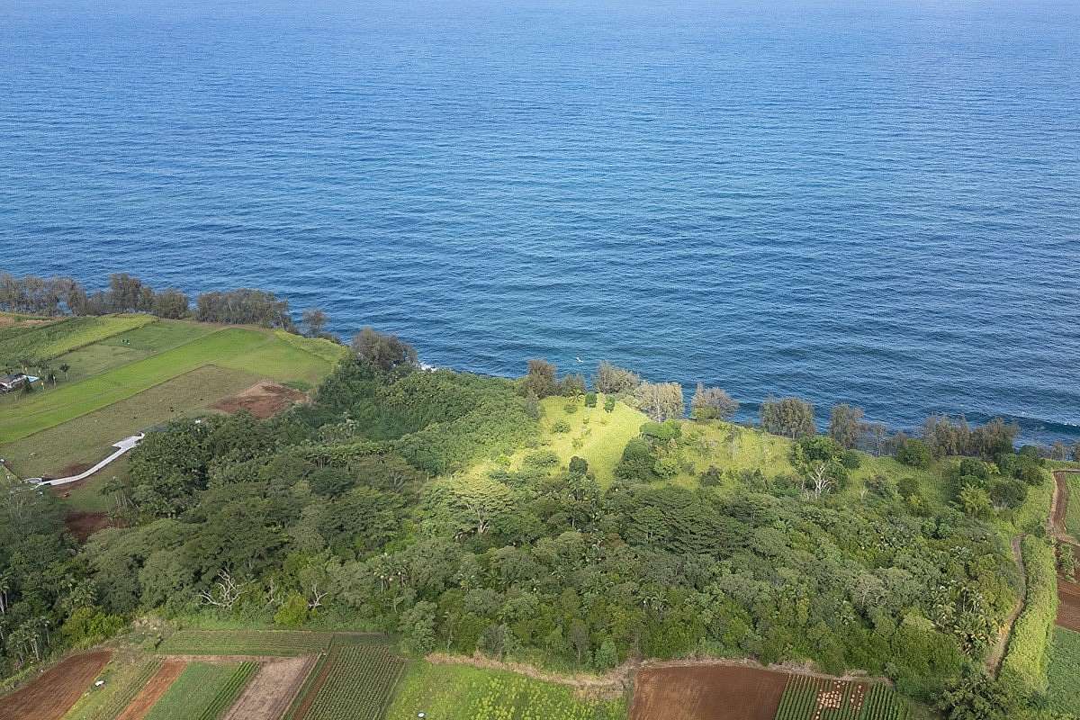 11.7 Acres of Land for Sale in Pepeekeo, Hawaii