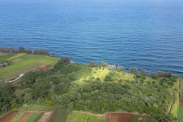 11.7 Acres of Land for Sale in Pepeekeo, Hawaii