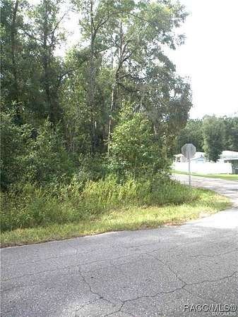 0.44 Acres of Residential Land for Sale in Inverness, Florida