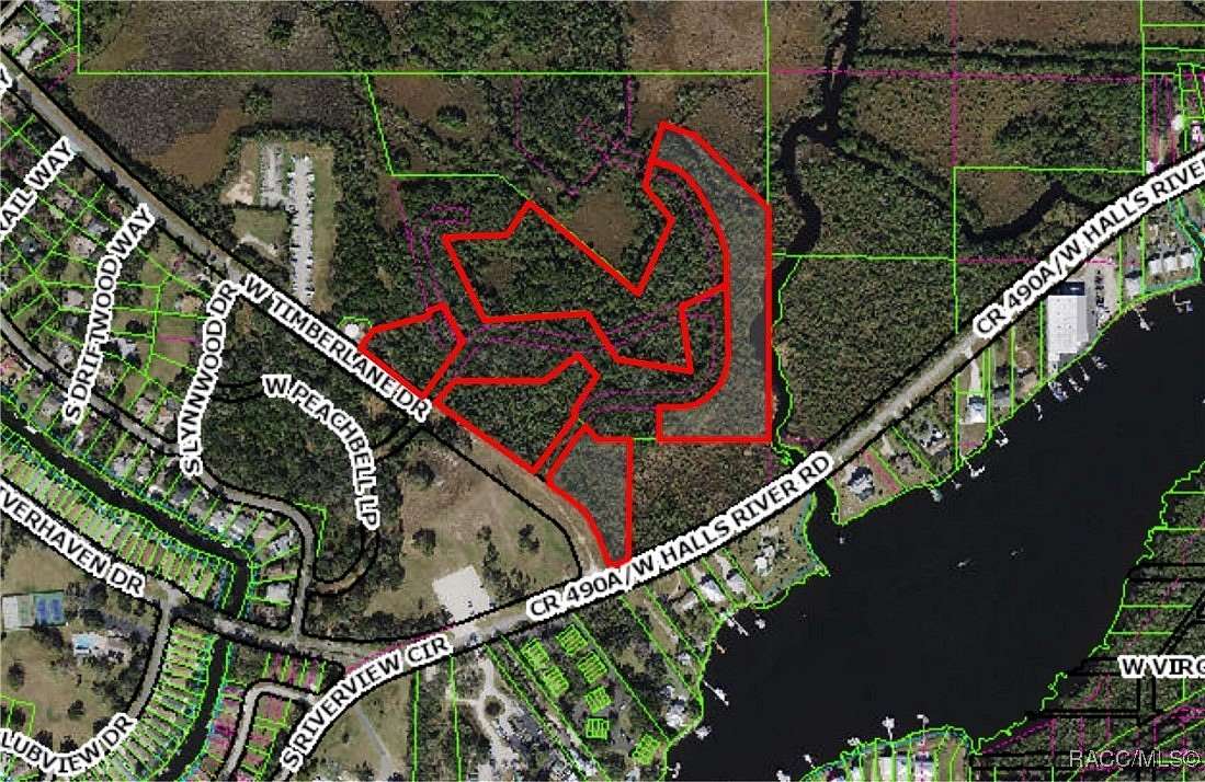 18.3 Acres of Land for Sale in Homosassa, Florida