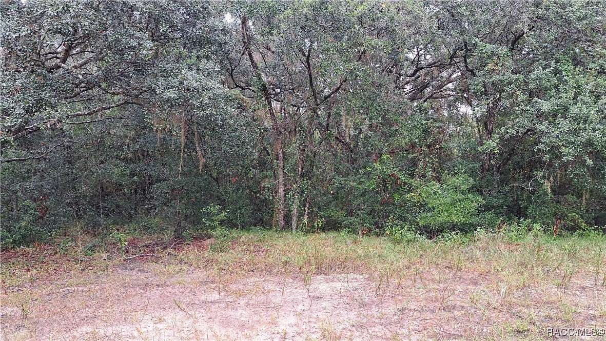 1 Acre of Residential Land for Sale in Hernando, Florida