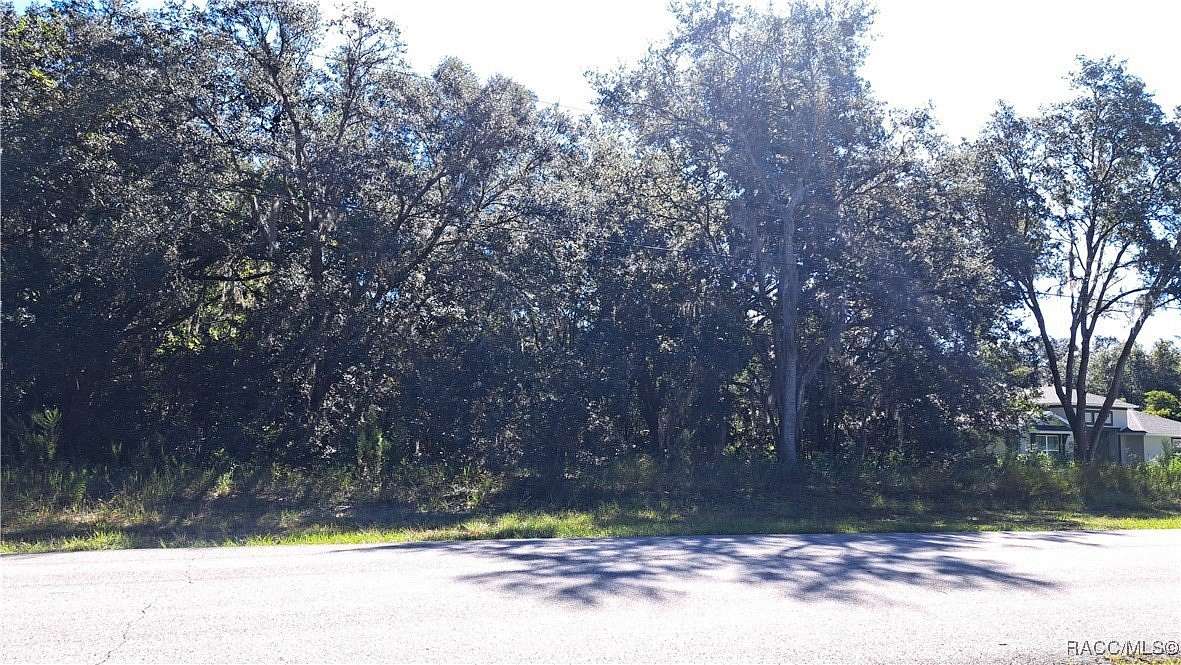 1 Acre of Residential Land for Sale in Hernando, Florida