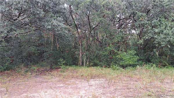 1 Acre of Residential Land for Sale in Hernando, Florida