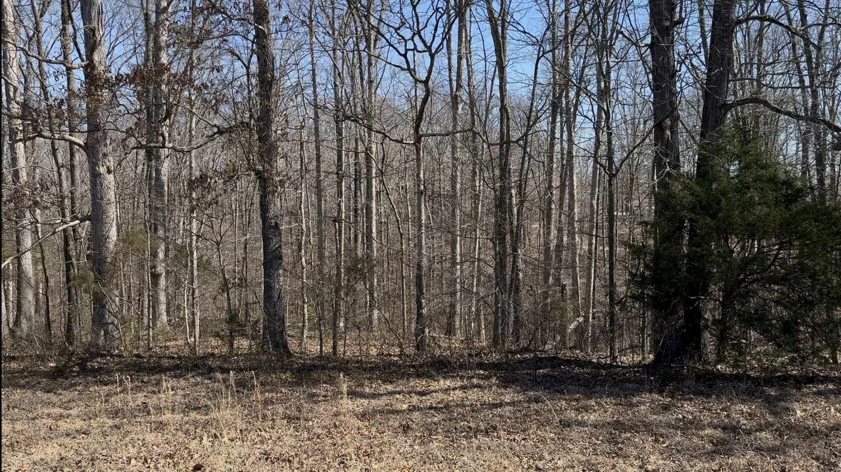 1 Acre of Residential Land for Sale in Centerville, Tennessee