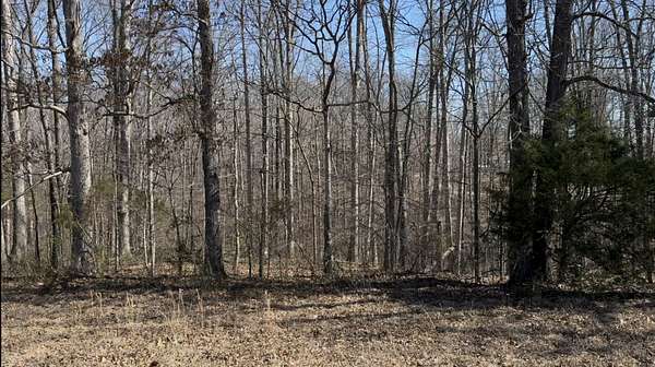 1 Acre of Residential Land for Sale in Centerville, Tennessee