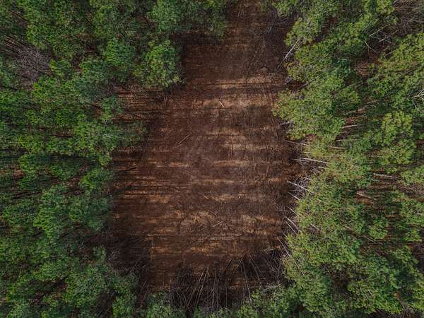 15 Acres of Land for Sale in Hohenwald, Tennessee