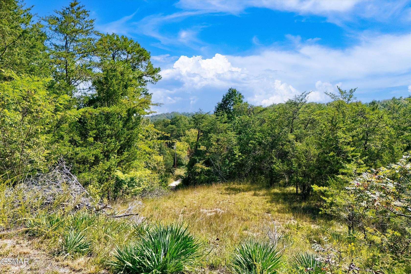 3.2 Acres of Residential Land for Sale in Sevierville, Tennessee