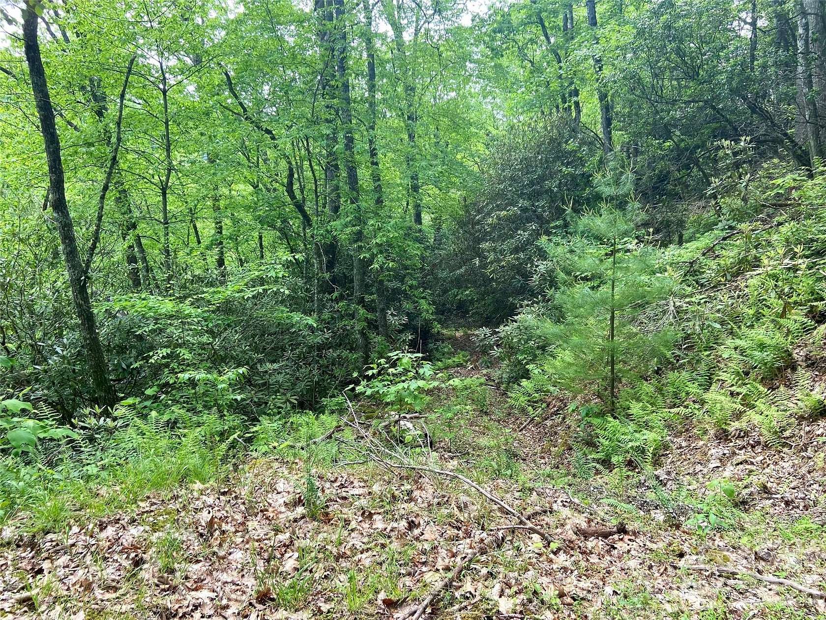 2.17 Acres of Land for Sale in Bryson City, North Carolina