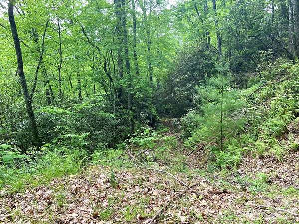 2.17 Acres of Land for Sale in Bryson City, North Carolina