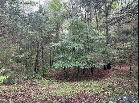 20 Acres of Land for Sale in Goochland, Virginia