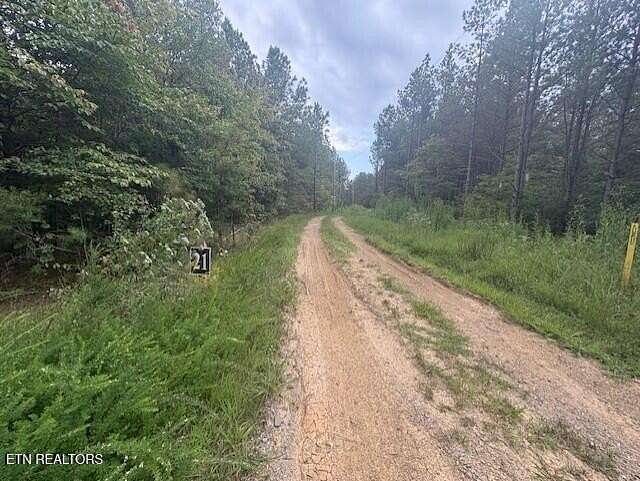 15.4 Acres of Land for Sale in Sunbright, Tennessee