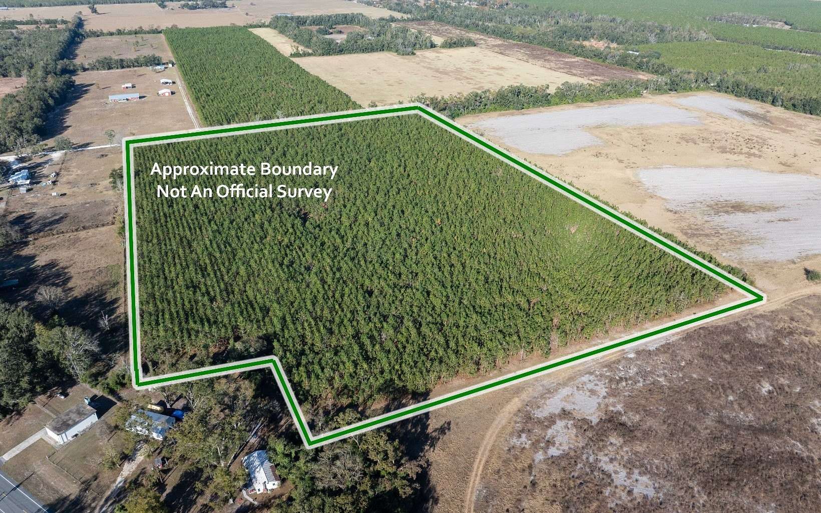 28.5 Acres of Agricultural Land for Sale in Live Oak, Florida
