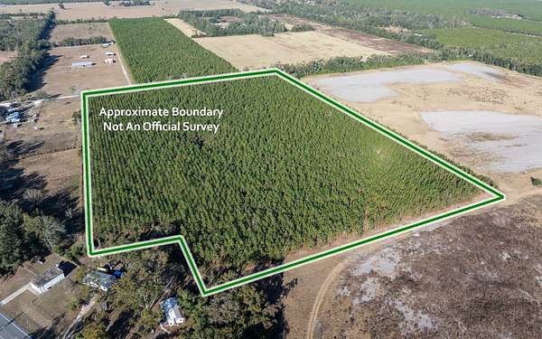 28.5 Acres of Agricultural Land for Sale in Live Oak, Florida