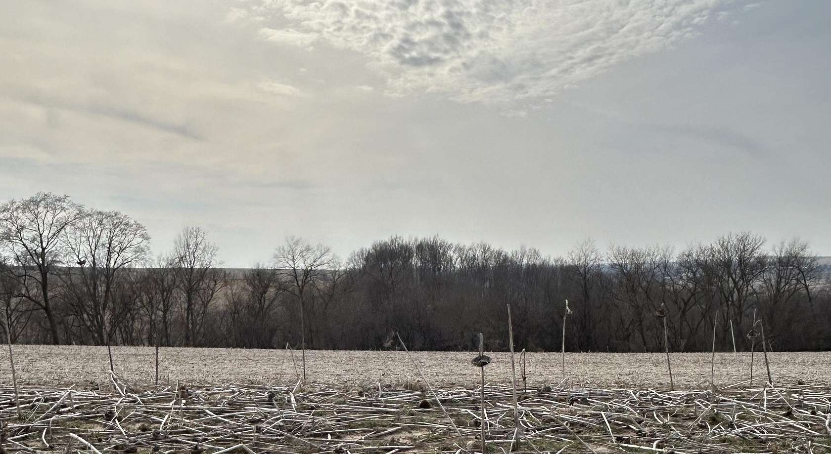 2.5 Acres of Residential Land for Sale in Mineral Point, Wisconsin