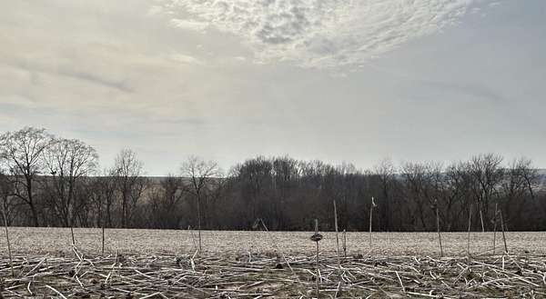 2.5 Acres of Residential Land for Sale in Mineral Point, Wisconsin