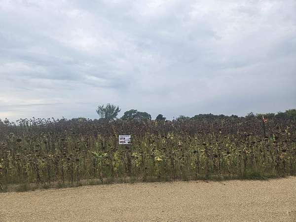 2 Acres of Residential Land for Sale in Mineral Point, Wisconsin