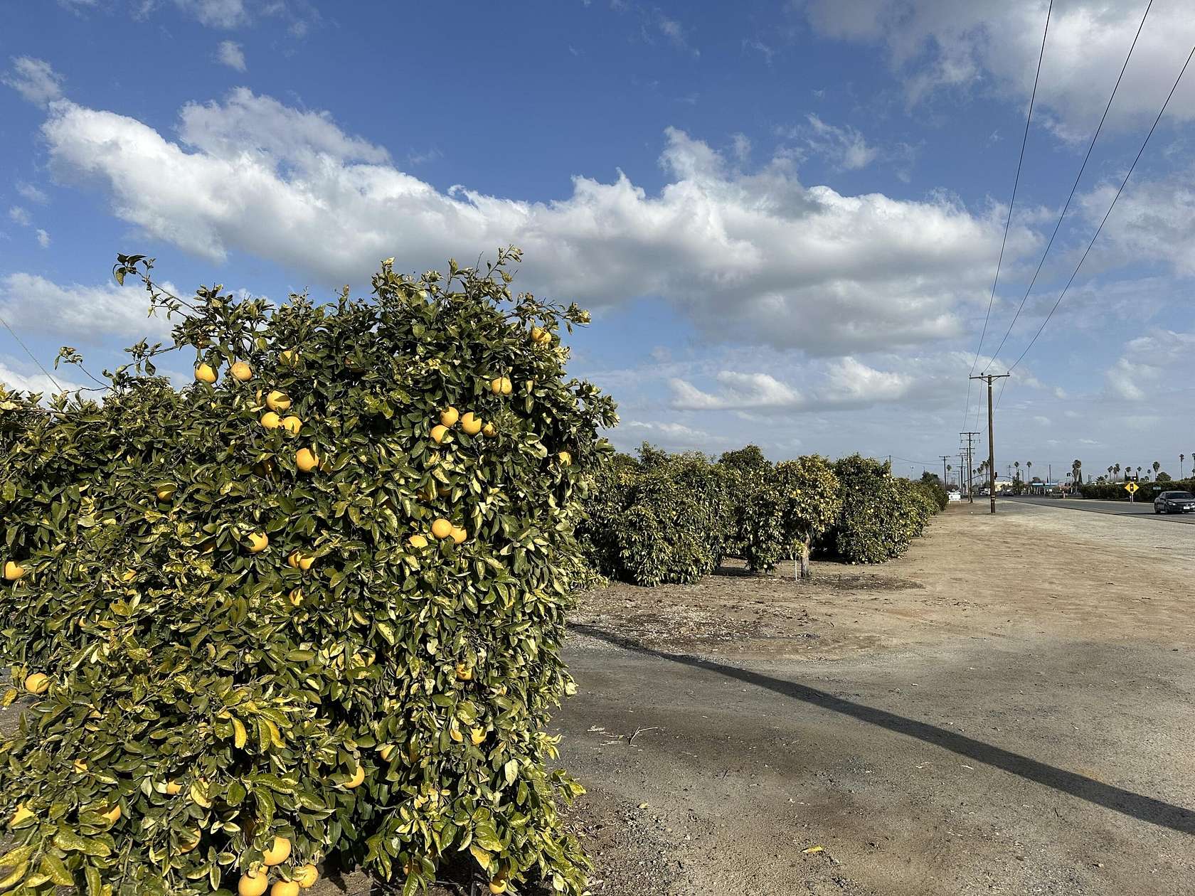 47.5 Acres of Commercial Land for Sale in Ducor, California