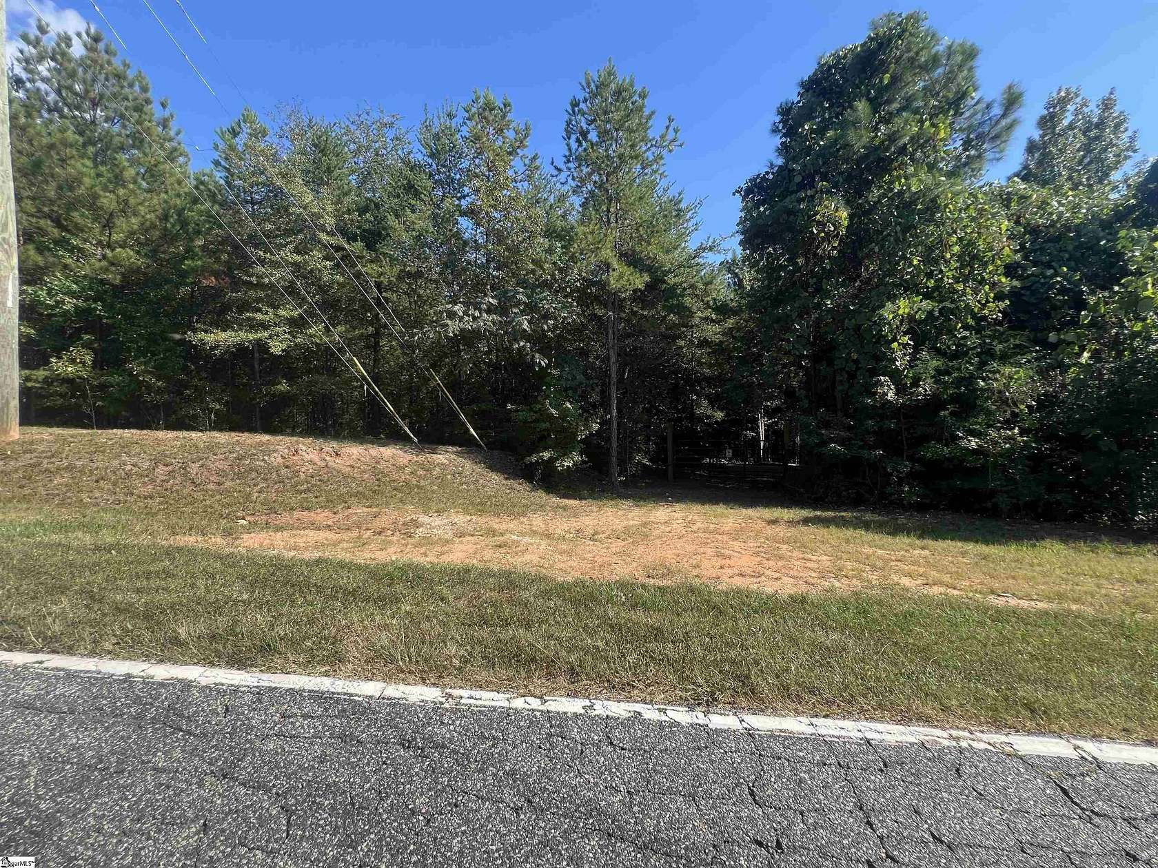 36.5 Acres of Recreational Land for Sale in Pauline, South Carolina